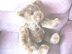 sam bear 643_01